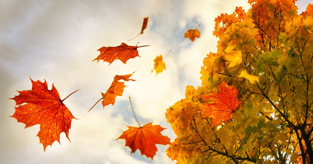 fall checklist
